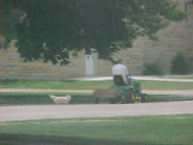 Rake, IA Iowa